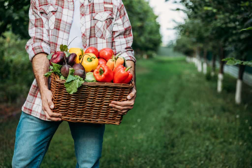 is basic industries a good career path if you like farming?